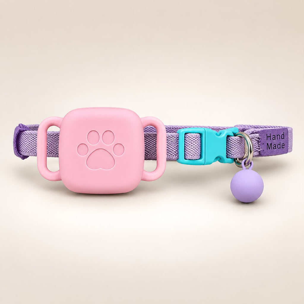 Kit Collar Artesanal + Funda + Localizador | Gato, Perro raza pequeña